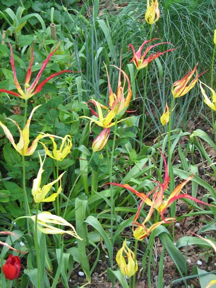 beelden aan de Vecht in de beeldentuin rondom het koetshuis van May en Joop Hobijn in Maarssen