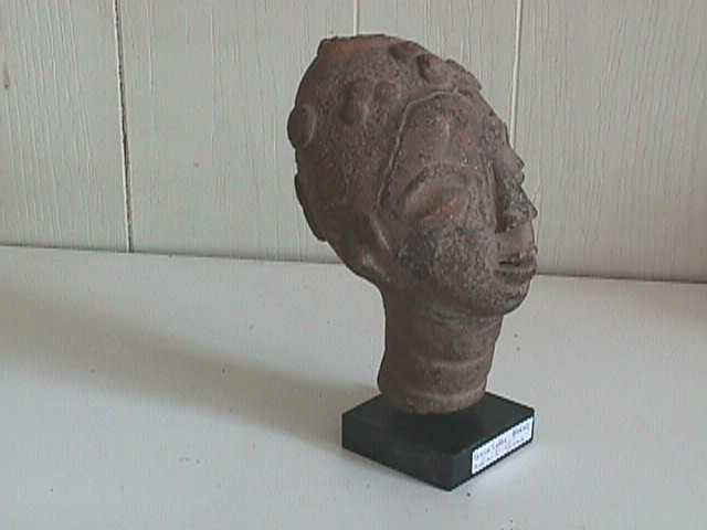 knotwilgen-fantikop.jpg (17368 bytes)