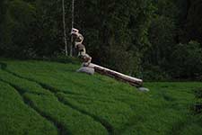 Sculpture by Roland de Jong Orlando - working.
