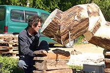 Sculpture by Roland de Jong Orlando - pine.