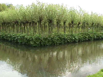 Homage to El Lissitzky - land art project with red steel element.