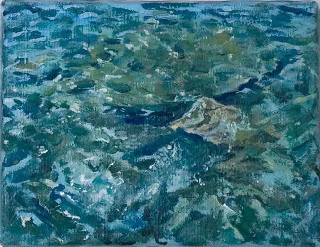 oil painting, sunset - Wim Drion, painter