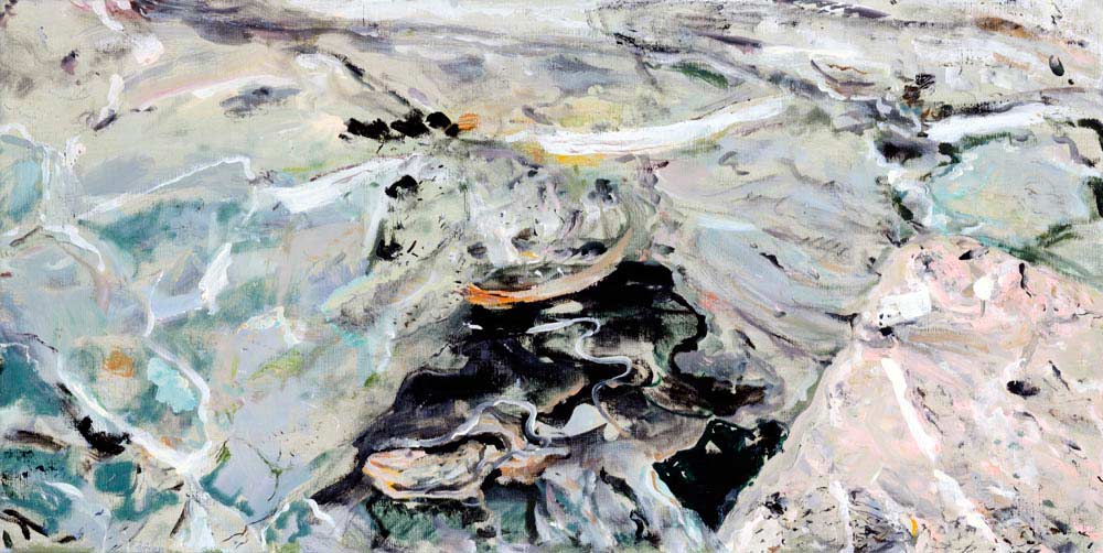 oil painting, submerged - Wim Drion, painter