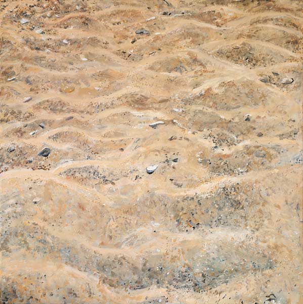 oil painting, sandscape - Wim Drion, painter