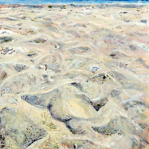 oil painting, sandscape - Wim Drion, painter