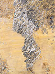Paintings by Wim Drion.