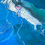 Paintings by Wim Drion.