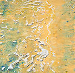 Paintings by Wim Drion.