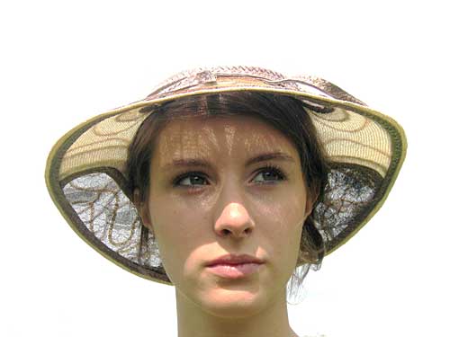 hobijn11.jpg (14697 bytes)