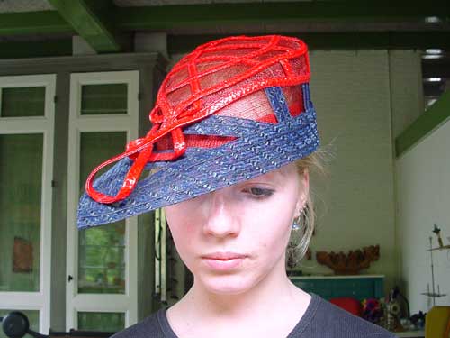 hobijn12.jpg (21817 bytes)