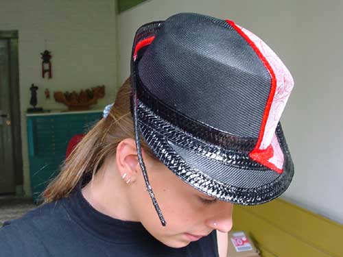 hobijn13.jpg (24570 bytes)