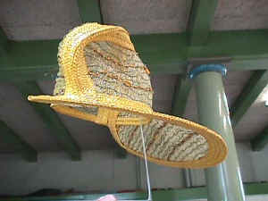 hobijn14.jpg (28491 bytes)